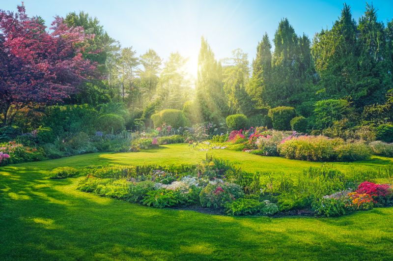 Garden Consultation