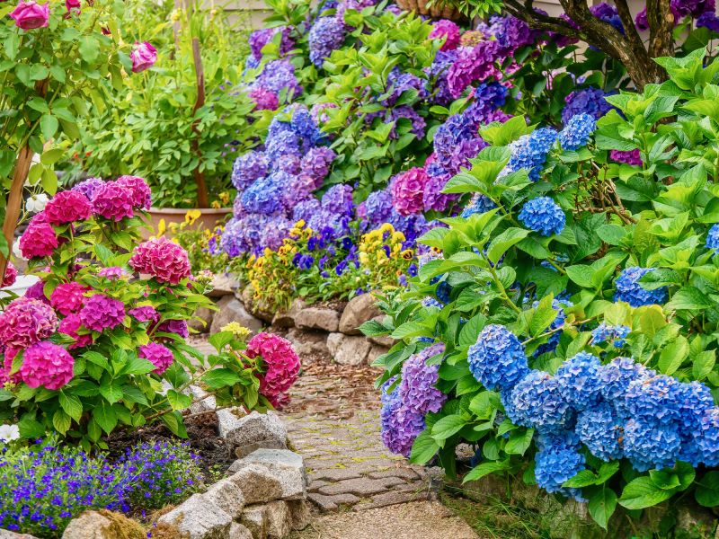 Garden Consultation