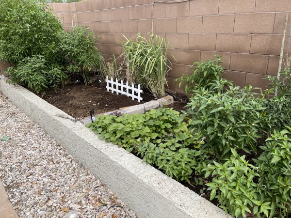 Landscape Concrete Edging